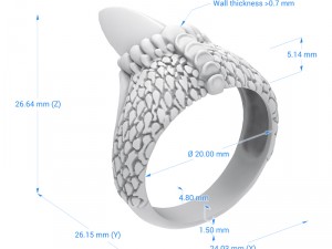 ring 011 claw 3Dプリントモデル