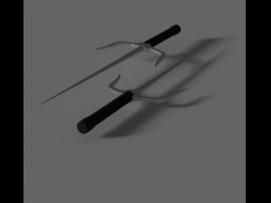sai Modello 3D