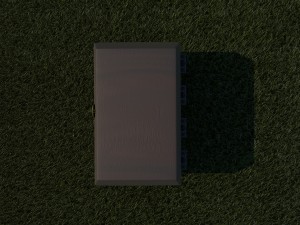 trunk 3D 模型