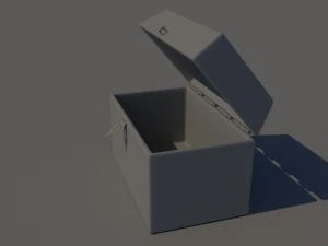 trunk 3D Model
