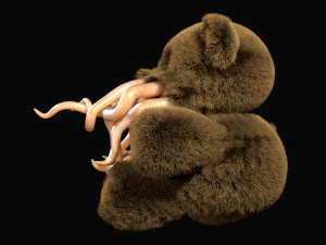 tentacle bear - high and low poly 3D Model