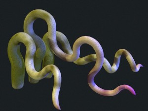 rigged tentacle set with pbr and non-pbr textures Modelo 3D