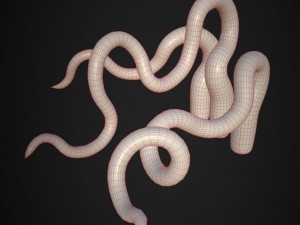 rigged tentacle set with pbr and non-pbr textures Modelo 3D