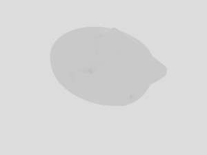 washbasin-13 3D 모델