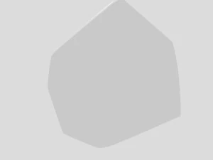 wc-1 3D Model