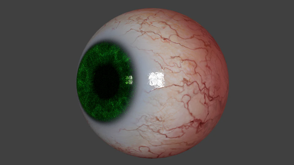 eyeball realistic 3D Model .c4d .max .obj .3ds .fbx .stl .blend
