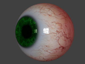 eyeball realistic 3Dモデル