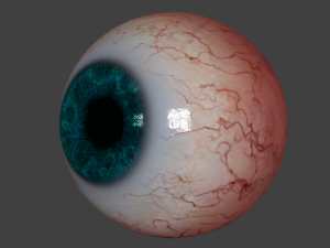 eyeball realistic 3D मॉडल