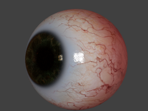 eyeball realistic 3D मॉडल