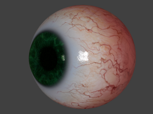 eyeball realistic 3D मॉडल