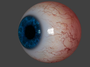 eyeball realistic 3D मॉडल