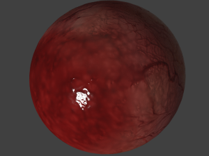 eyeball realistic 3D मॉडल