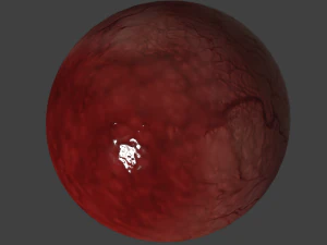 eyeball realistic 3D Model