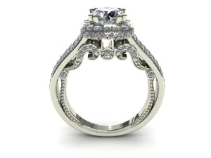 ring 01 3D Model