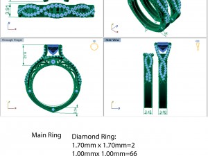 ring 010 3D Model