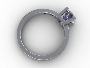 ring 017 Modèle 3D