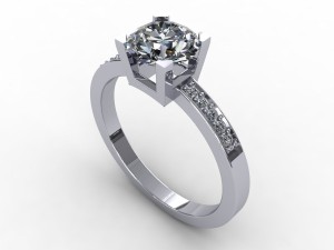 ring 017 Modèle 3D