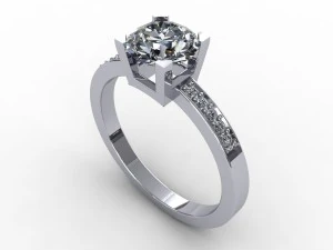 ring 017 3D Model