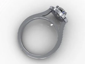 ring 019 3D Model