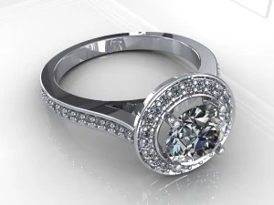 ring 019 3D Model