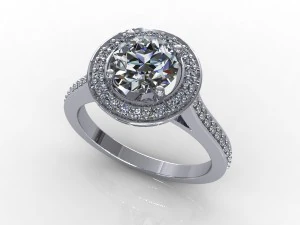 ring 019 3D Model