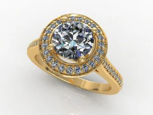 ring 019 3D Model