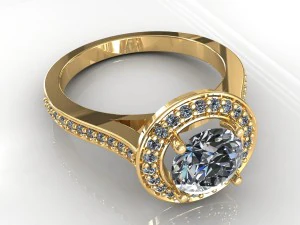 ring 019 3D Model