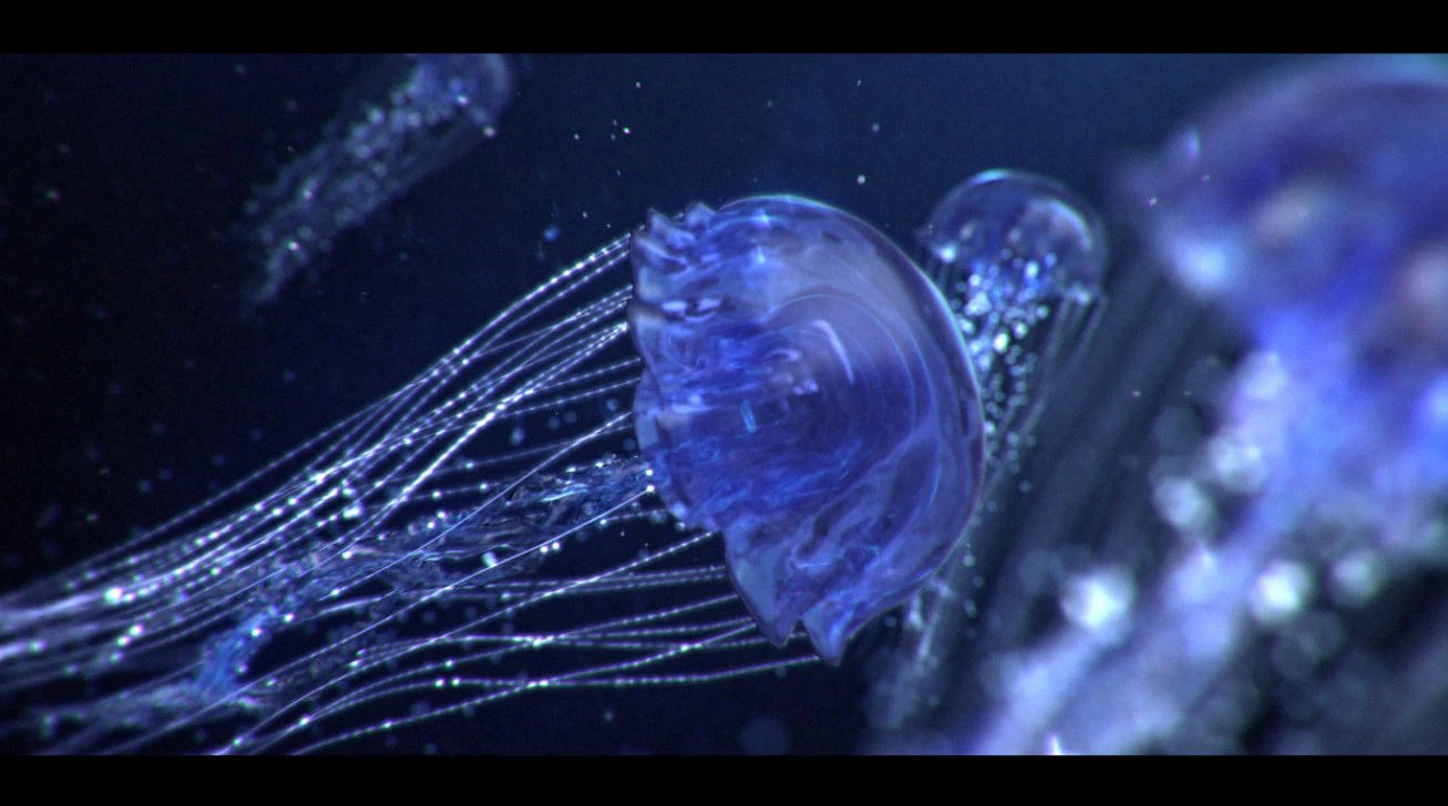 jellyfish animated 3D Model .c4d .max .obj .3ds .fbx .stl .blend 