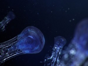 jellyfish animated 3D Модель