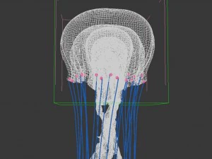 jellyfish animated 3D Model
