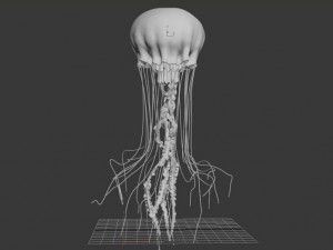 jellyfish animated 3D Модель