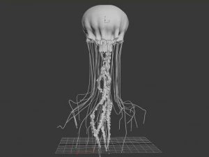 jellyfish animated 3D Model