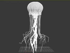 jellyfish animated 3D Model