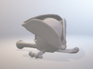 pirate skull - pirates of the caribbean Modelo de Impressão 3D