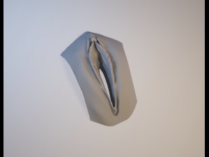 3d vagina 3D Print Model