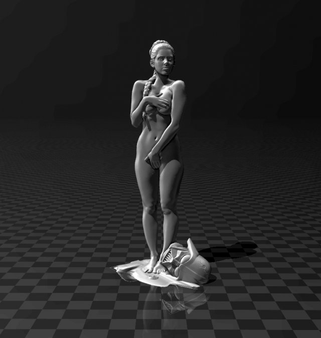 star wars - general leia organa 3D Print Model .c4d .max .obj .3ds .fbx .stl .blend 