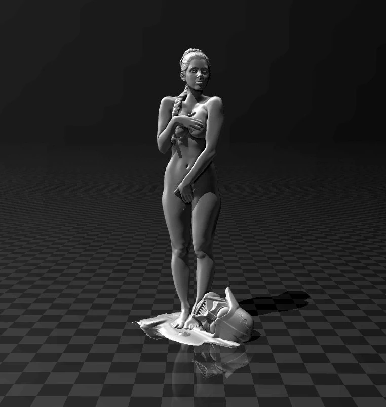 star wars - general leia organa 3D Print Model .c4d .max .obj .3ds .fbx .stl .blend