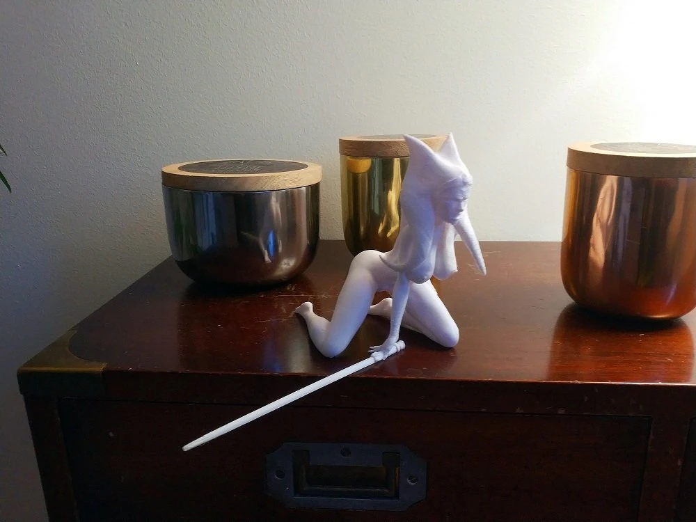 ahsoka tano 3D Print Model .c4d .max .obj .3ds .fbx .stl .blend 
