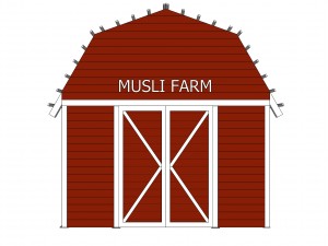 red barn Modelo 3D