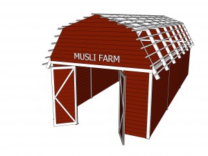 red barn Modelo 3D