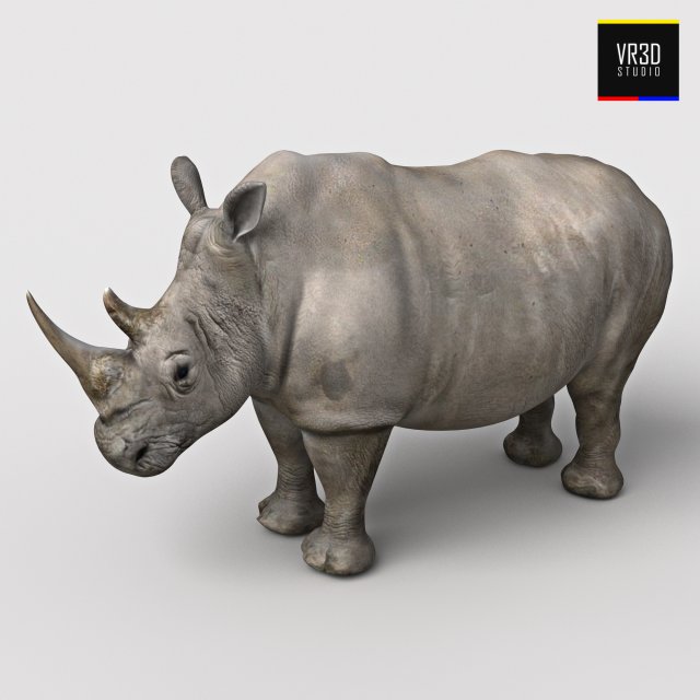 realistic rhinoceros 3D Model .c4d .max .obj .3ds .fbx .stl .blend 