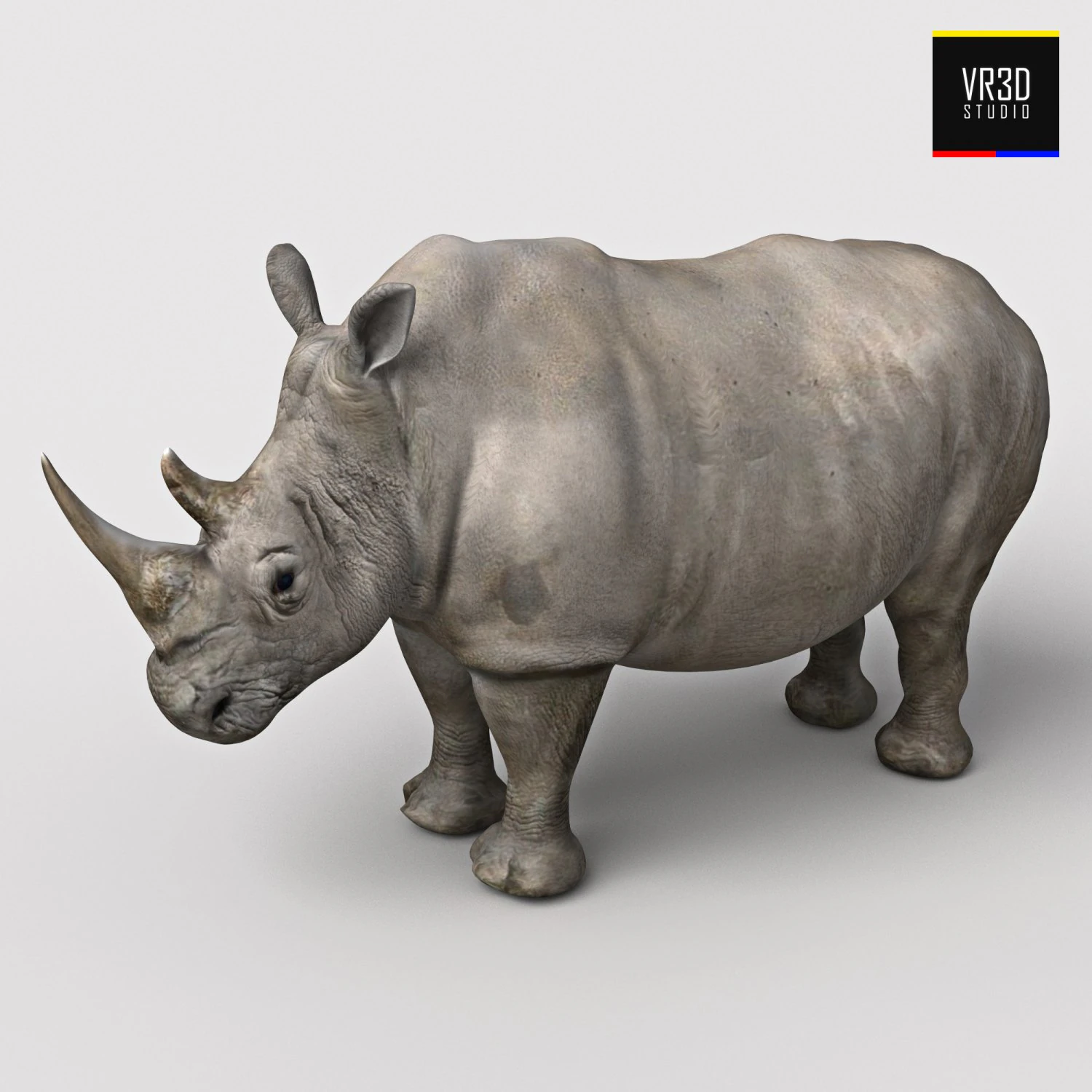 realistic rhinoceros 3D Model .c4d .max .obj .3ds .fbx .stl .blend 