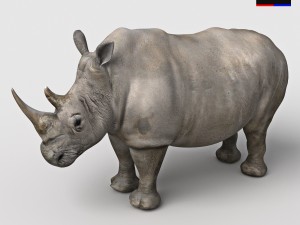 realistic rhinoceros 3D Модель