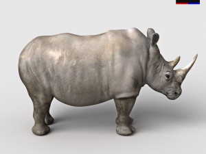 realistic rhinoceros 3D Model