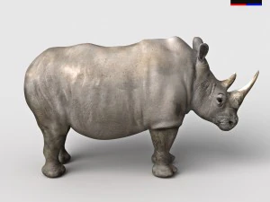 realistic rhinoceros 3D Model