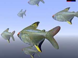 realistic river fish 3D Модель