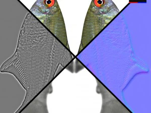 현실적인 강 물고기 3D 모델