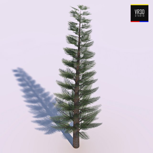 pine tree - conifer 3D Model .c4d .max .obj .3ds .fbx .stl .blend 