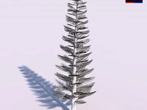 pine tree - conifer 3D Model