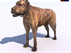 vicious dog 3D Модель